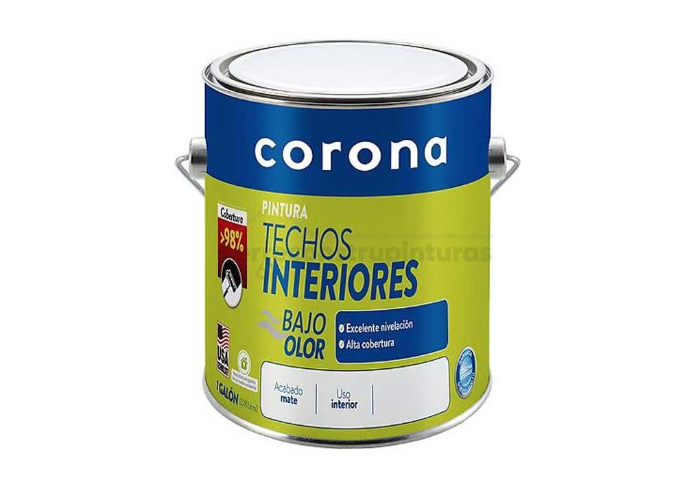 PINTURA TECHOS INTERIORES